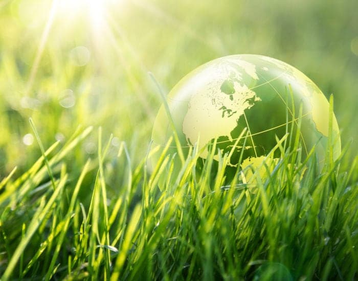 Green glass globe on grass